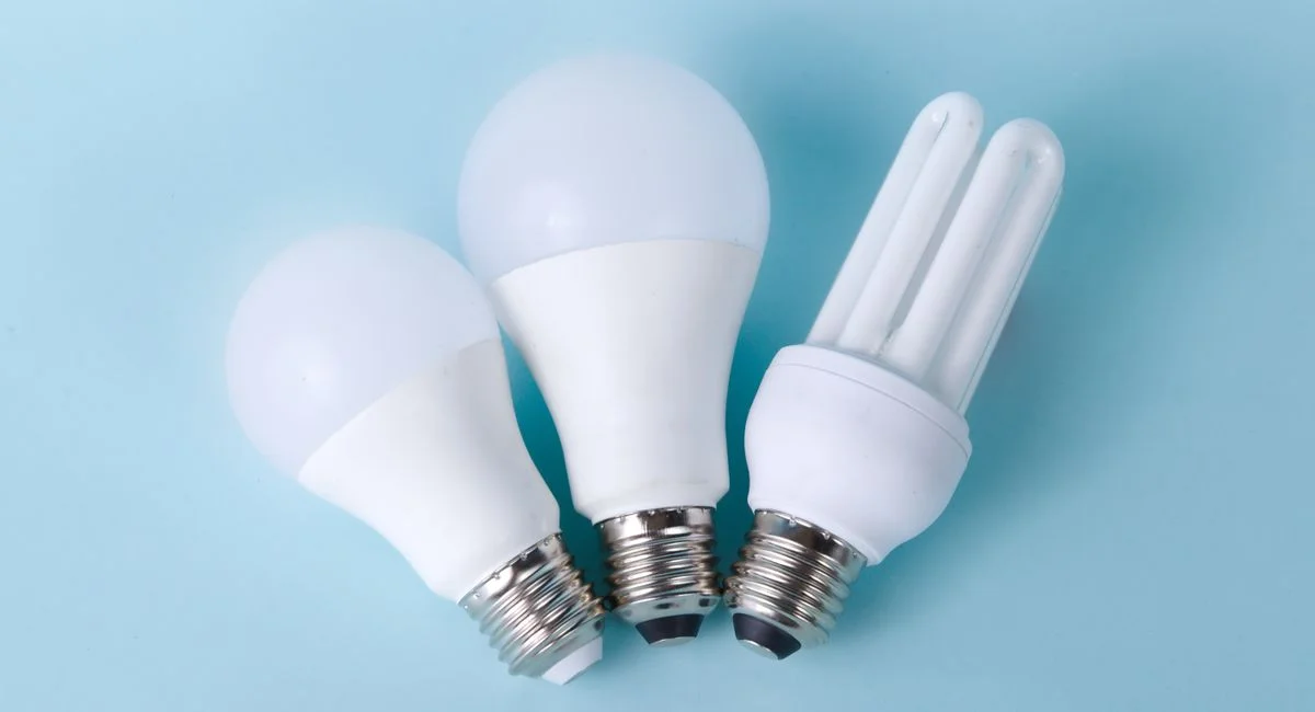 Three assorted LED and CFL light bulbs against a light blue background.